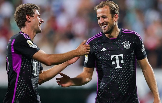 迷表达了真 迷表达了真