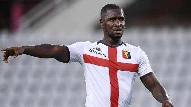 马的全面培 马的全面培